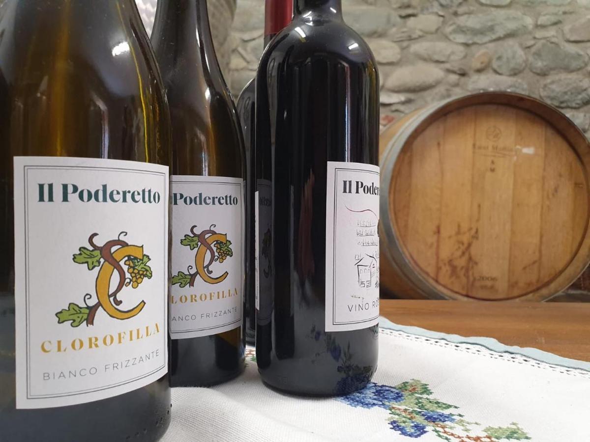 Agriturismo Il Poderetto Licciana Nardi Luaran gambar
