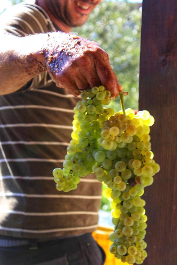 Agriturismo Il Poderetto Licciana Nardi Luaran gambar