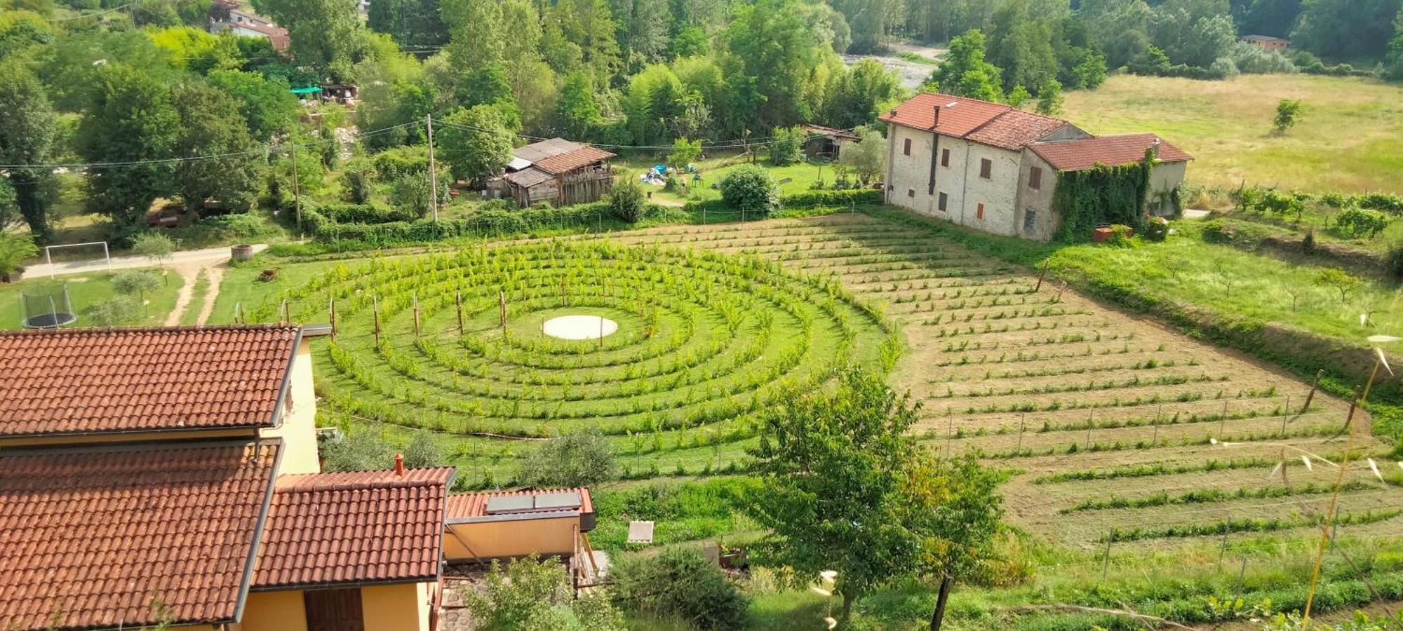 Agriturismo Il Poderetto Licciana Nardi Luaran gambar