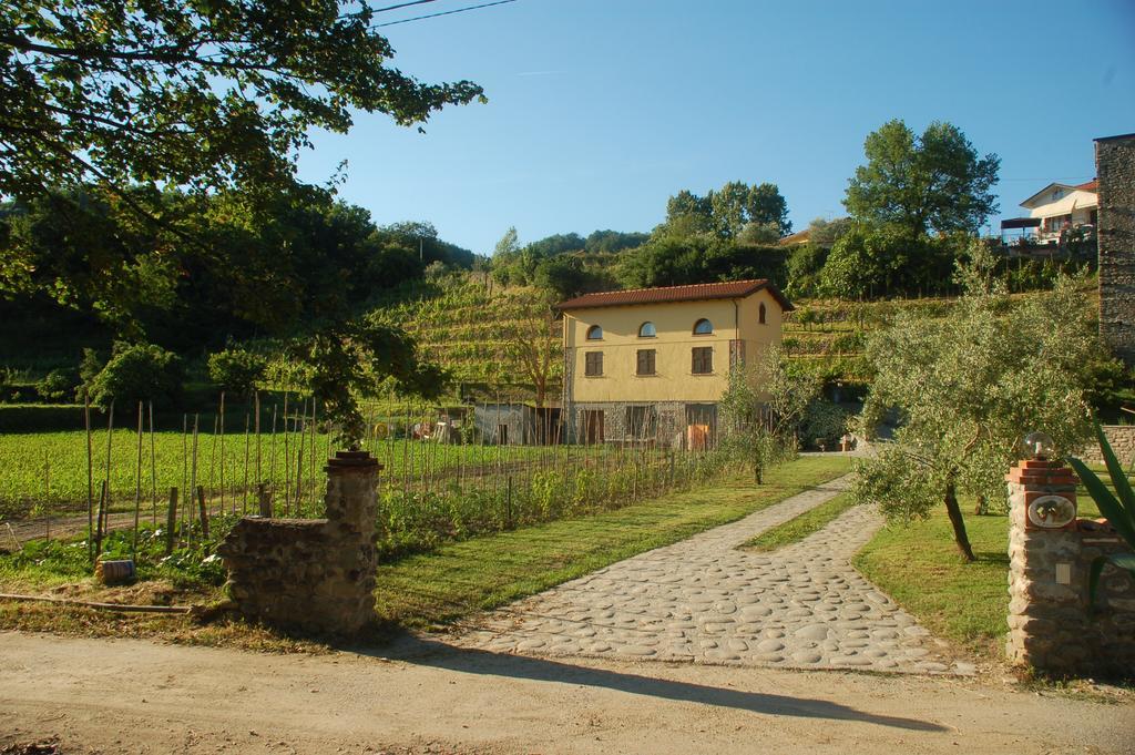 Agriturismo Il Poderetto Licciana Nardi Luaran gambar